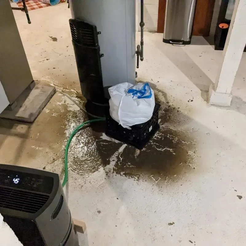 Sewage Backup Cleanup Service in Chestertown, MD